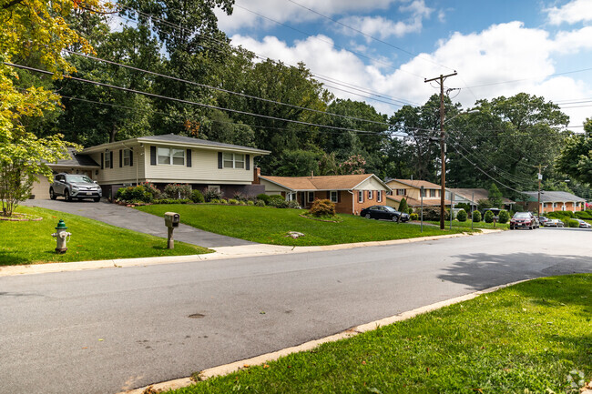 Charming homes nestled on a serene street in the Silver Spring suburb of Colesville.