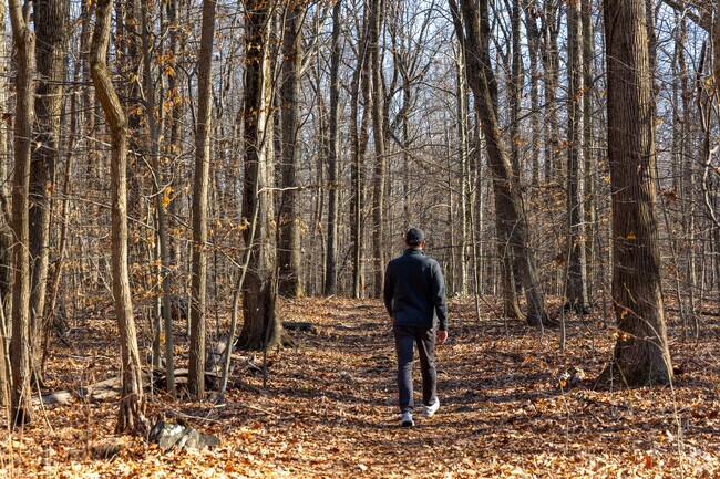 The Sourland Mountain Preserve in East Amwell is a popular spot for outdoor enthusiasts.