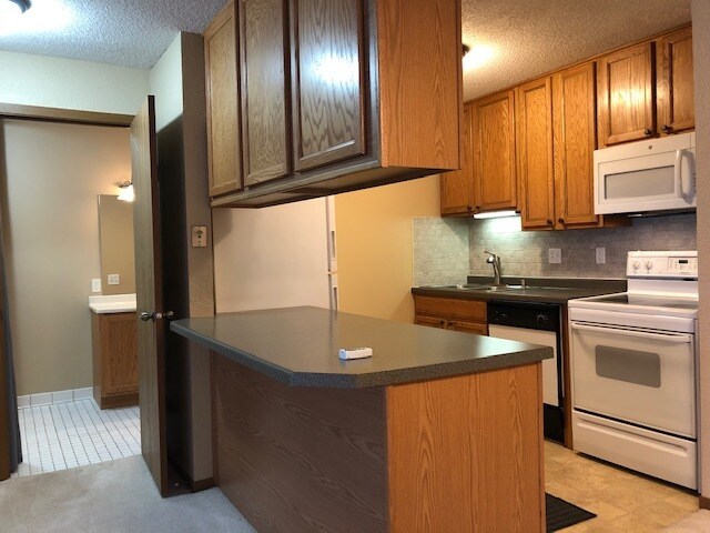 Tower Place Condominiums unit 310, Prior Lake, MN 55372 - photo 2