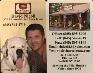 David Nicoli