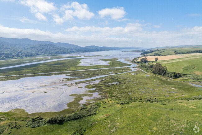 Tomales Bay is just a five minute drive from Point Reyes.
