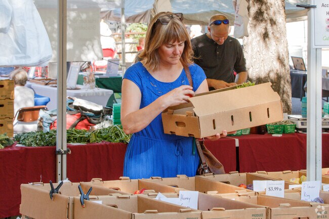 The Farmers Market in downtown Sonora showcases an abundance of vibrant local produce, bringing together the community to celebrate fresh flavors and support local farmers.