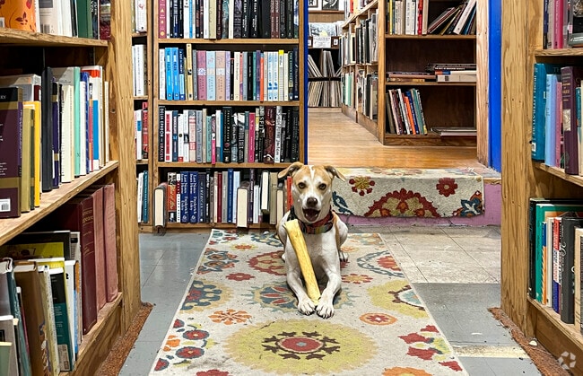 Normal Books & Records is a favorite spot for Harwood residents to spend a Saturday afternoon.