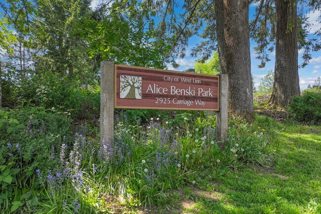 Alice Benski Park is one of three walkable parks located in Hidden Springs