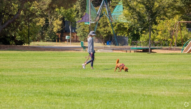 Plenty of room to roam at Walnut Park in South Davis, CA.