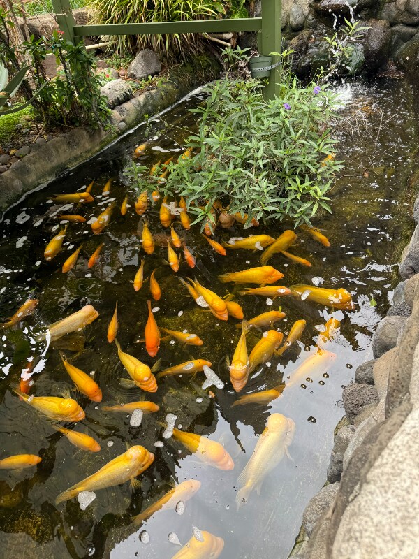 111 Kahului Beach Rd unit C-303, Kahului, HI 96732 - photo 3