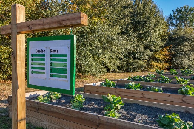 . The Gaston Library Garden grows fresh collards, demonstrating the town’s deep-rooted agricultural spirit.