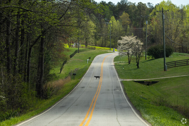 A good old country road in Dawson County Georgia.
