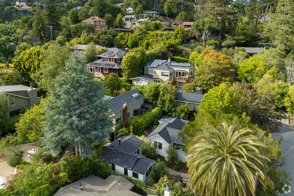 About Downtown Mill Valley Schools, Demographics, Things to Do