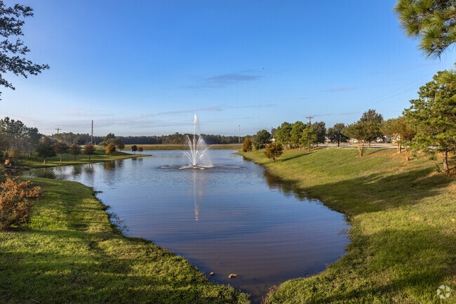 Roman Forest residents can enjoy watching the local pond at all hours.