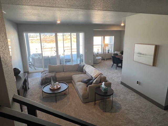 8950 Frolic View, Colorado Springs, CO 80924 - photo 4