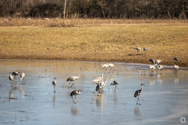 Wheeler National Wildlife Refuge in Flint City provides a safe place for migratory birds to stop along their travels.