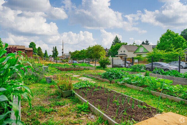 Many plots are available at McCarver Park's Hilltop Community Garden.