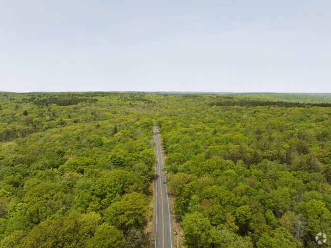 Route 20 runs through Tunxis State Forest in Hartland, Connecticut.