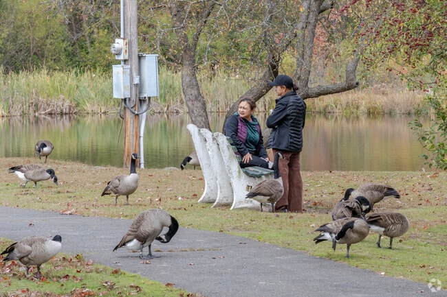 Fulton Park is a prime spot to experience nature and feed some waterfowl, near North End District.