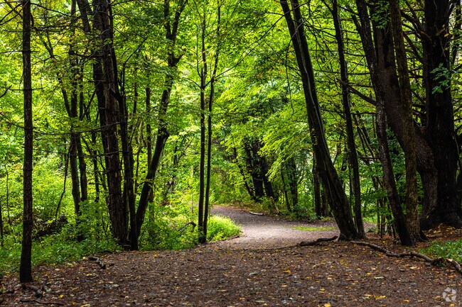 Lush green trails await at Bowers Springs Nature Preserve in Bolton.