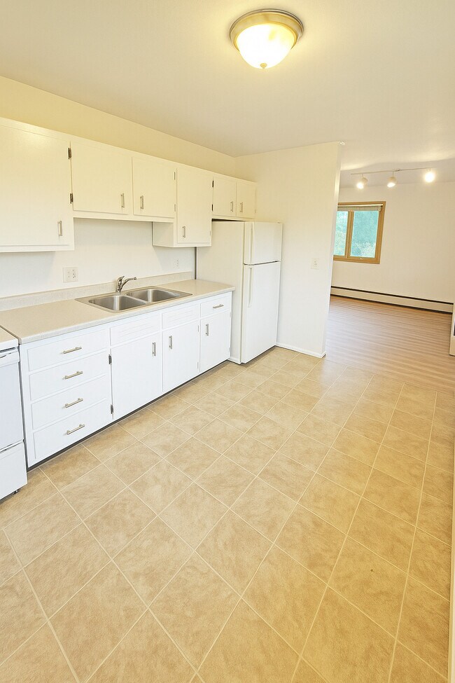 Lake Point Drive Apartments, Madison, WI 53713 - photo 2