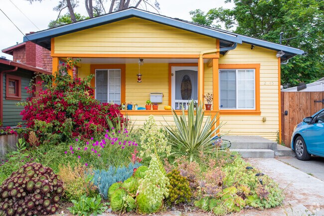 Residents have added flair to the Harrington neighborhood by adding bright colored homes.