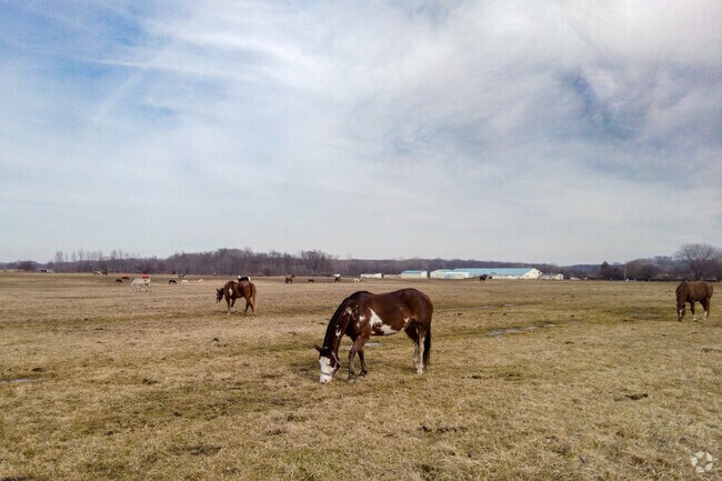 Ainsworth residents are sure to see horses scattered throughout the neighborhood.