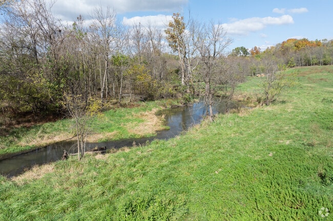 A narrow creek flows past wooded banks in West Springfield’s peaceful Ozarks setting.