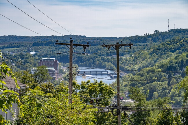 A view of the Monongahela River from the top of a hill in Wiles Hill-Highland Park neighborhood.