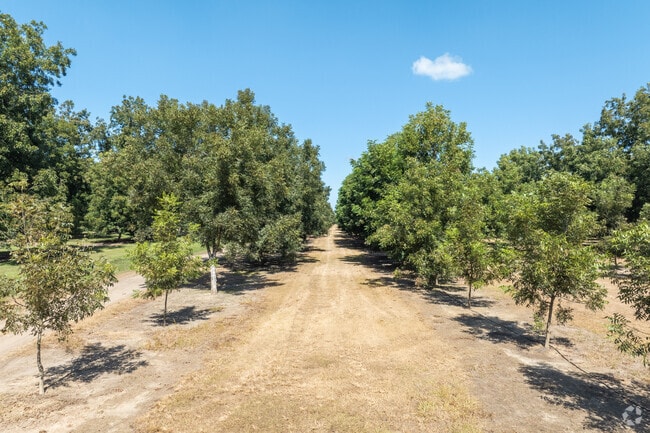 Acres of pecan trees and a slower pace of life define the rural community of Putney.