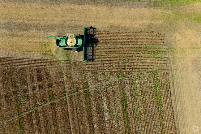 Commercial development in East New Market may have slowed, but agriculture stands strong.