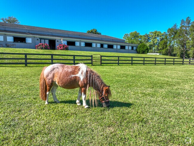 Epona Farm in Cismont has horse riding lessons and plenty of room to ride.