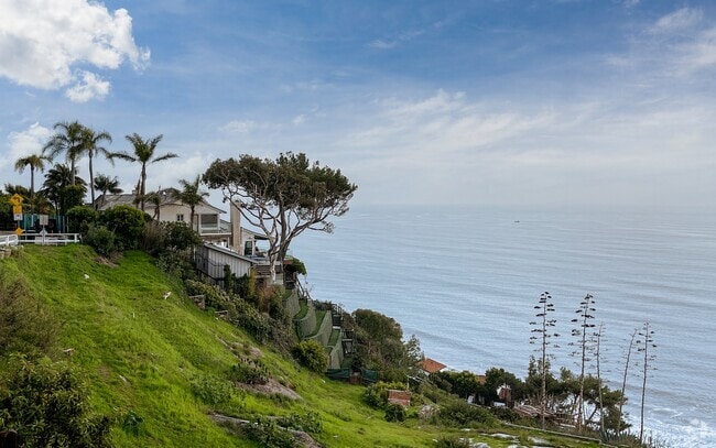 Neighborhood_Pacific Palisades_V2.1_01292024