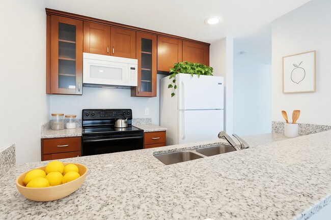 Elevate Properties, Fairfield, CA 94533 - photo 4