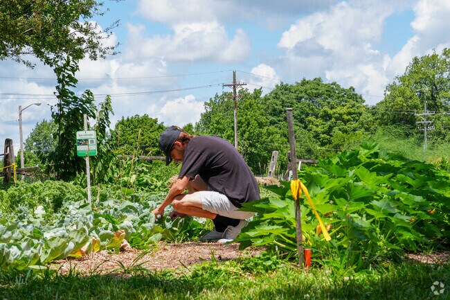 The Lincoln Sharing Garden is a space for locals to try their hand at gardening.