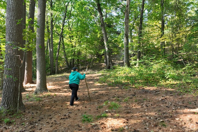 Take a hike up Mount David Trailhead and take in the beauty of Lewiston.