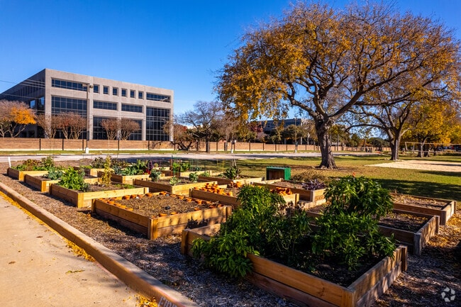 View of the student garden at Greenhill School in Addison, TX.