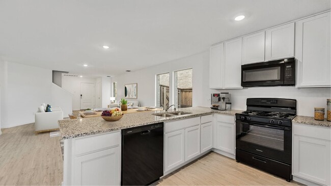 244 Back Country Dr, Little Elm, TX 75068 - photo 3