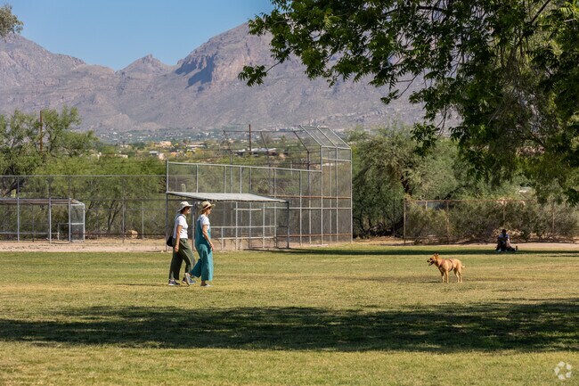 Fort Lowell Park is the perfect place to exercise dogs, with many large fields for running.