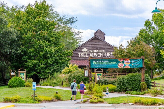 There's fun for the whole family at Arbor Day Farm Tree Adventure.