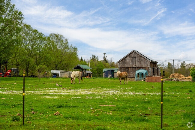 The Plainfield area is surrounded by an abundance of small farms, where rolling fields and pastures support a rich tradition of local agriculture.