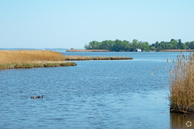 Creeks, rivers and tributaries populate the Middle River area.