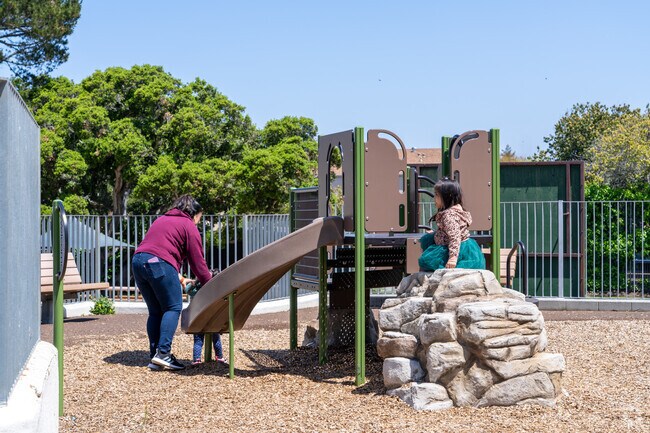 Casanova Oak Knoll Park features a safe, shaded playground perfect for local kids and families.