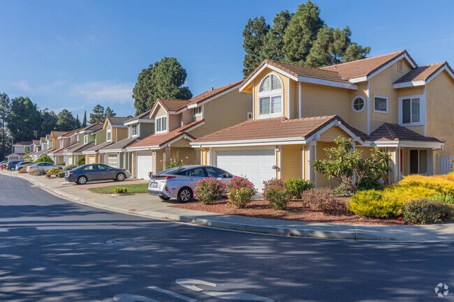 Brookvale is full of beautiful modern suburban subdivisions.