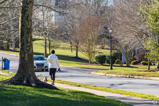 Highly walkable residential areas in Chester Heights makes taking the dog for a walk easy.