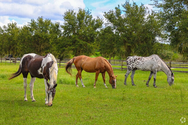Residents of Dover who own horses can enjoy the miles of equestrian trails for their horses.