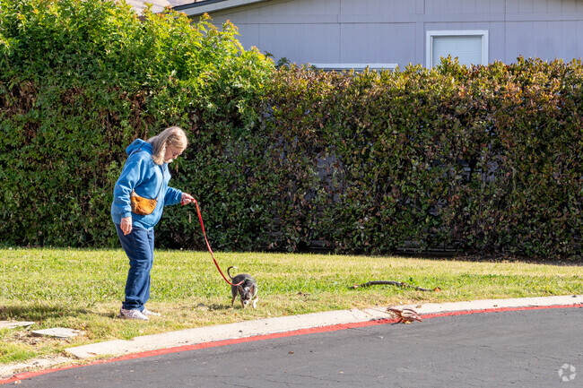 Pups love Hidden Glen for its pet-friendly paths and green spaces.