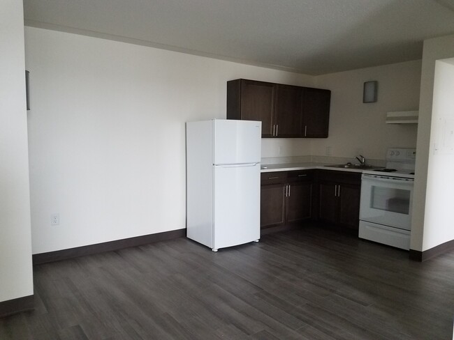 Renovated Kitchen