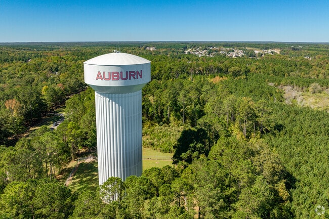 Access to downtown Auburn and highly rated schools add to Shelton Park's appeal for home buyers.