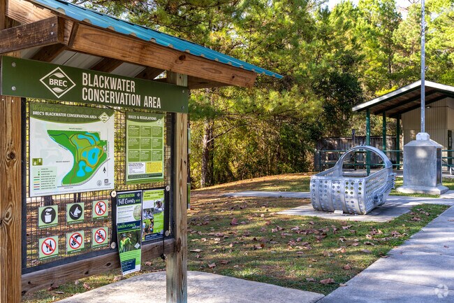 Blackwater Conservation Area is the perfect location for a dog walk.