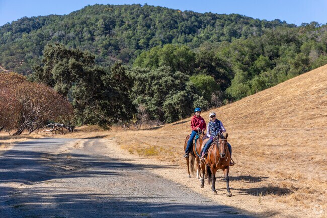 Palos Verde Area locals enjoy scenic horseback rides at Briones Regional Park.