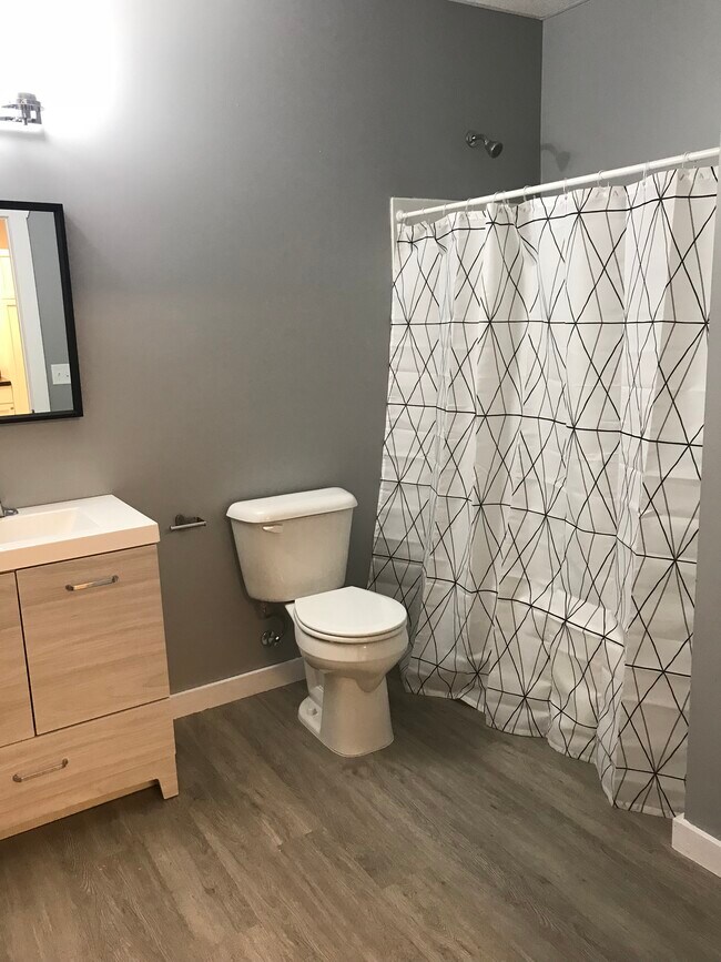 208 1/2 Main St S unit B, Chatfield, MN 55923 - photo 5