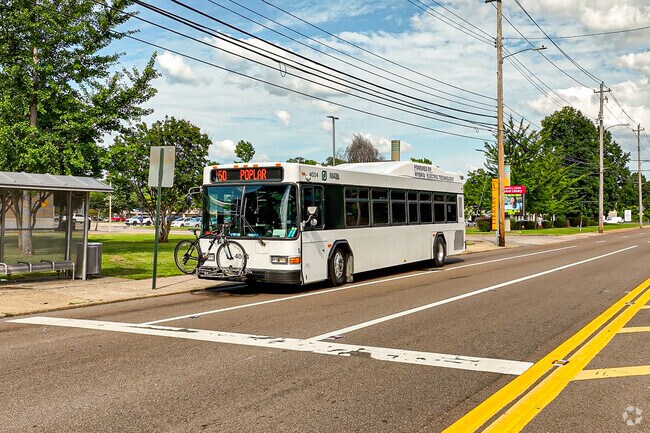 Chickasaw Gardens is serviced by the Memphis Area Transit Authority.
