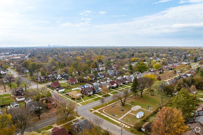 There is plenty of room for everyone to settle in Detroit's Franklin neighborhood.